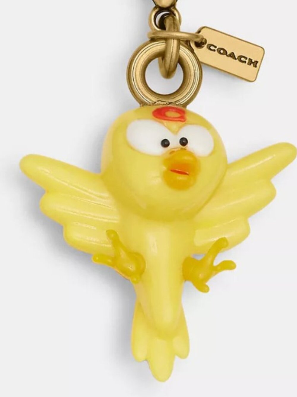 Coach | Brain Dead Bird DIY Charm